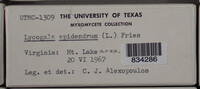Image Associated With the Occurence
